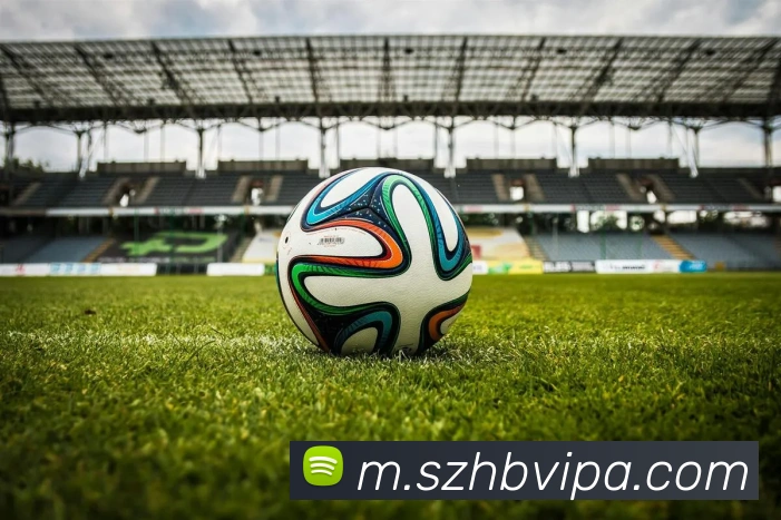 pa真人视讯服务体系